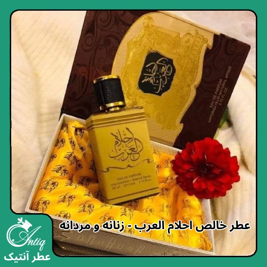 عطر گرمی زنانه و مردانه عربی احلام العرب